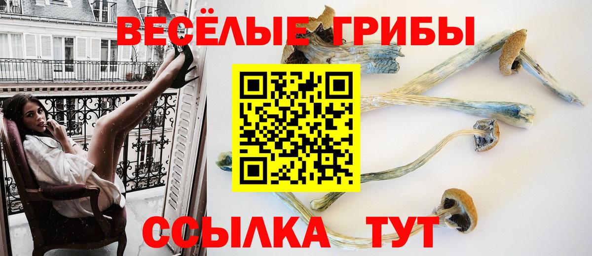 Коряжма  Галлюциногенные грибы Magic Shrooms  Вход с VPN  Галлюциногенные грибы прущие грибы 
